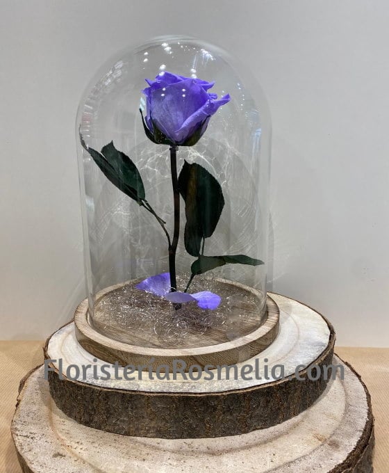Cúpula Rosa Malva | Rosa Eterna | Rosas Naturales para Regalar