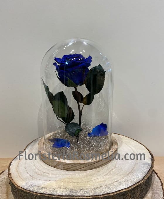 Cúpula Rosa Azul | Rosa Eterna | Rosas Naturales para Regalar